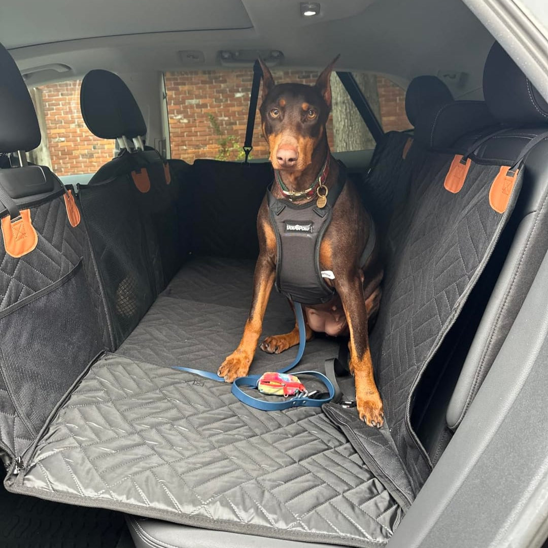 PawProtector - Funda de Asiento de Coches para Mascotas
