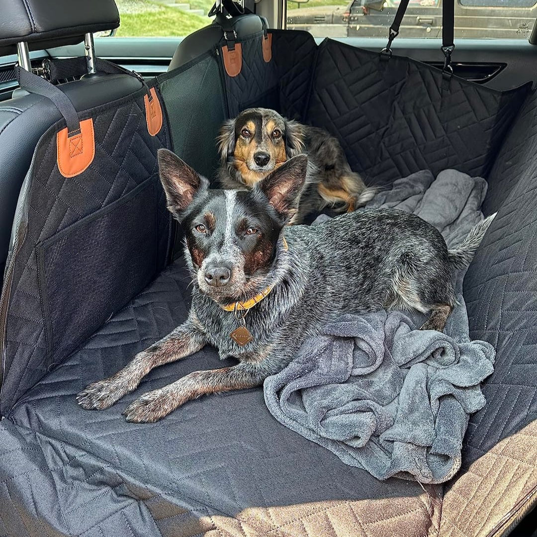 PawProtector - Funda de Asiento de Coches para Mascotas